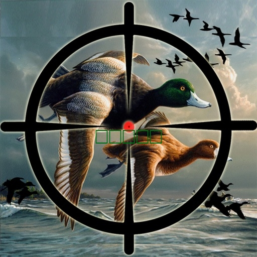 鸭狩猎临挑战鸟拍摄游戏3D1.2