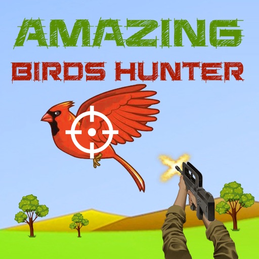 Amazing Birds Hunter1.1