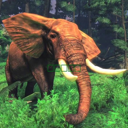 大象真正的冒险游戏1.0