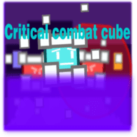 关键战斗（Critical Combat Cube）