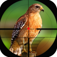 鸟类狩猎挑战Bird Hunting Challenge