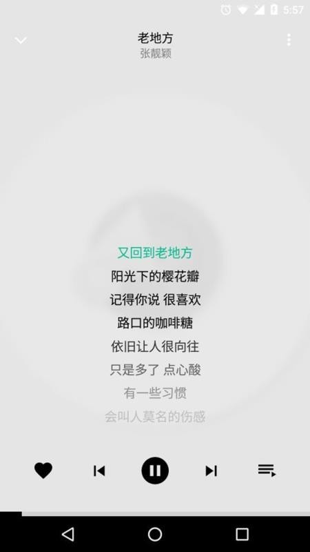 专业版音乐播放器