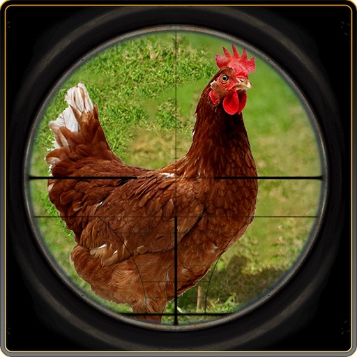 鸡狩猎狙击手射击1.1
