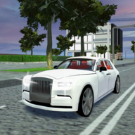 豪华停车模拟（Luxury Car Parking Sim）