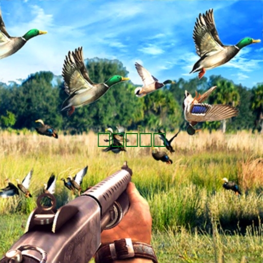 狙击手 鸟类 打猎1.2