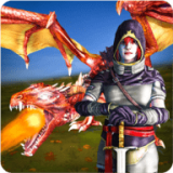 野龙复仇模拟器Dragons Revenge Simulator