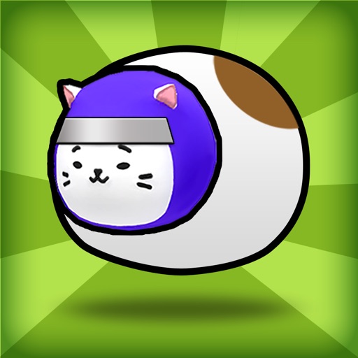 Cat Ninja!1.0.1