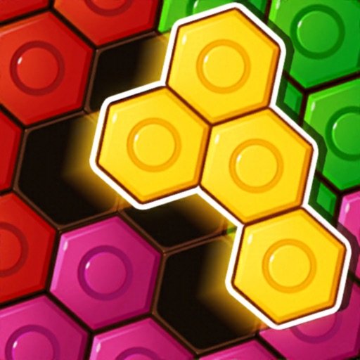 Block Hexa Puzzle 20191.3