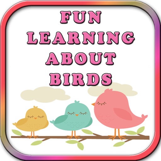 学习娱乐为孩子模板鸟1.0