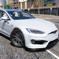 Model S模拟器游戏