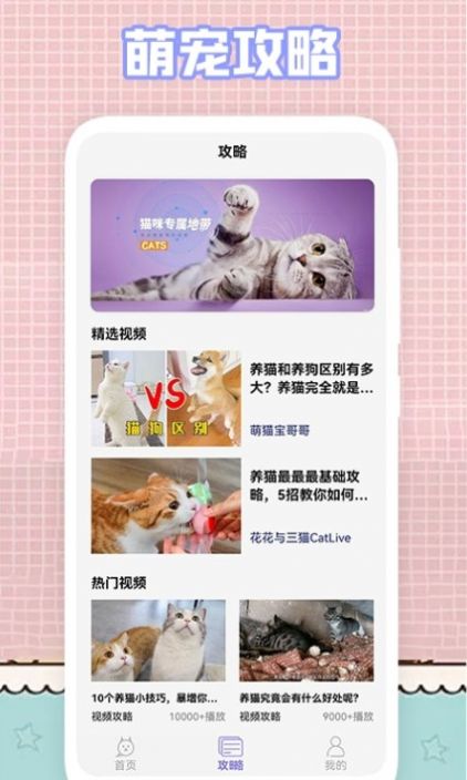 我的猫咪壁纸app