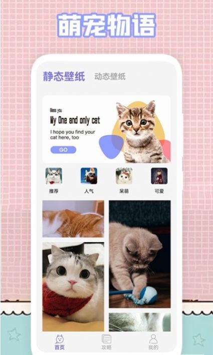 我的猫咪壁纸app