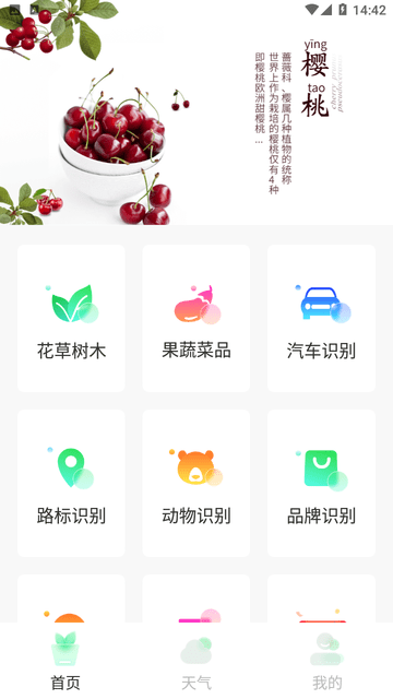 智能拍照识物