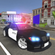 模拟城市警察